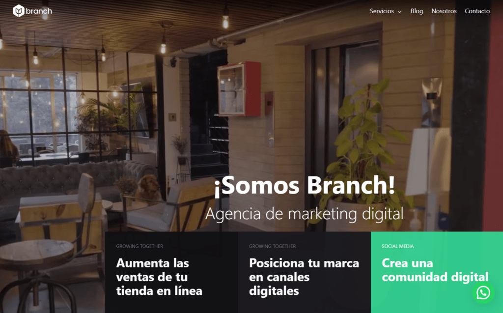 Branch - agencia de marketing digital