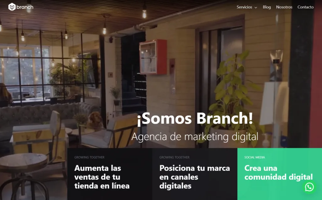 Branch - agencia de marketing digital