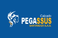 Calzado Pegassus, cliente de Macgráficas
