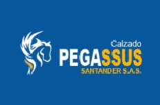 Calzado Pegassus, cliente de Macgráficas